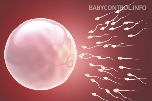 Экстренная контрацепция - Гинепристон
