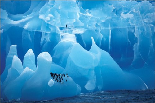 Антарктида - суровая и прекрасная